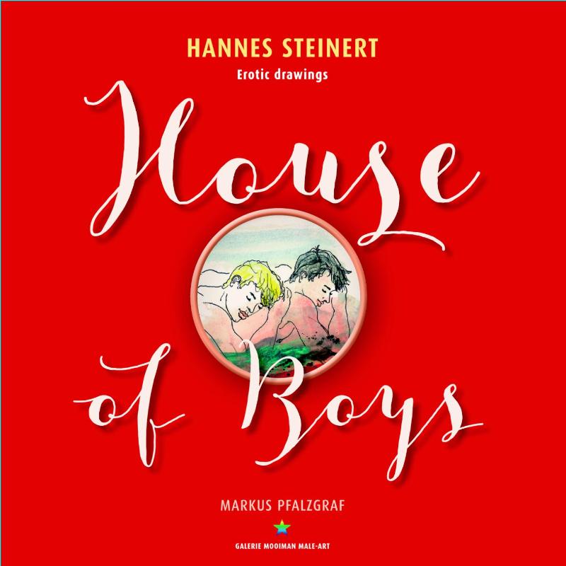 Omslag van House of boys