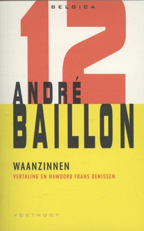 Omslag van Waanzinnen