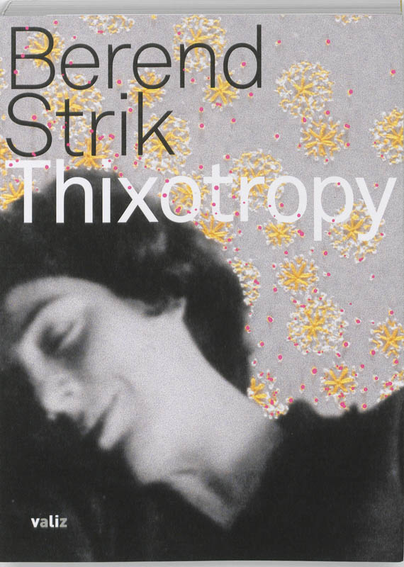 Omslag van Thixotropy