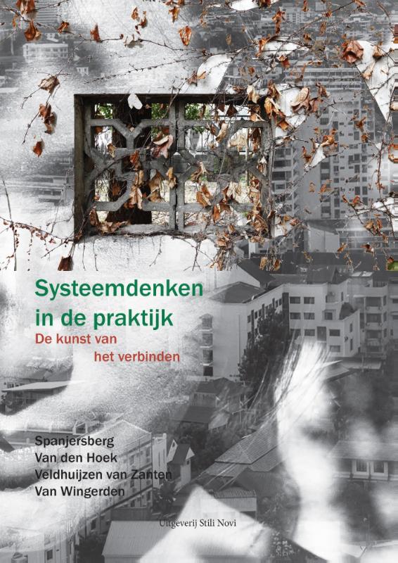 Omslag van Systeemdenken in de praktijk