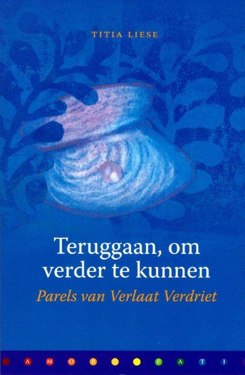 Omslag van Teruggaan, om verder te kunnen