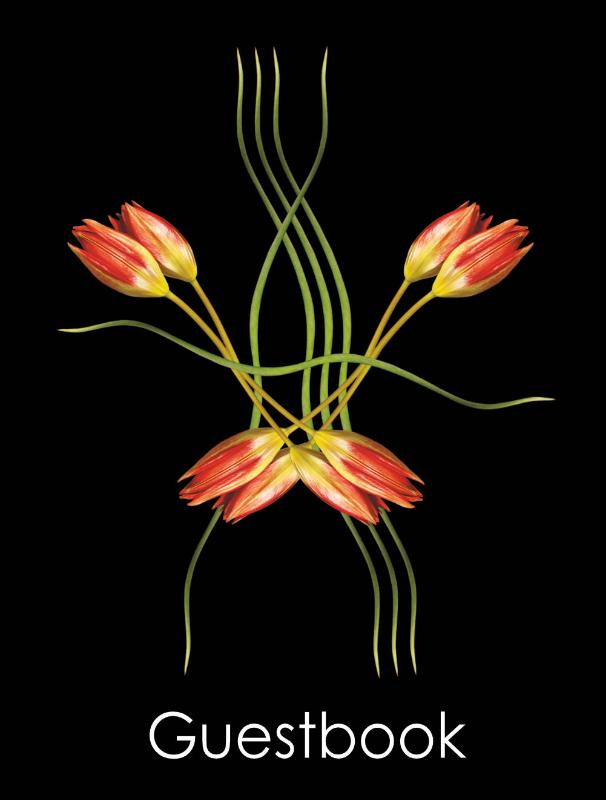 Omslag van Guestbook Double Dutch Tulips