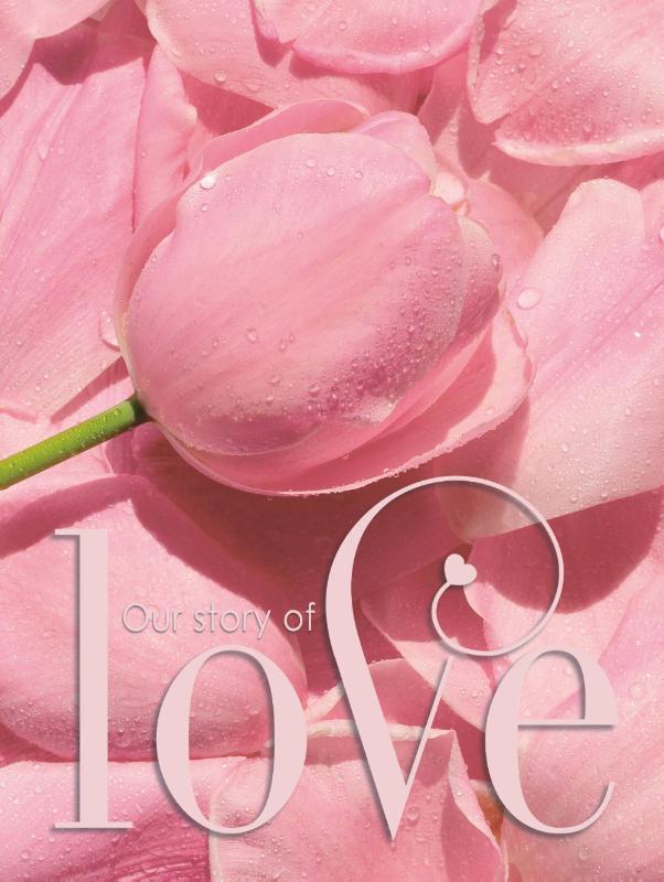 Omslag van Gastenboek bruiloft LOVE luxe hardcover voor 250 gasten