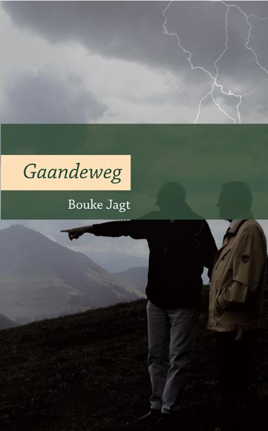Omslag van Gaandeweg