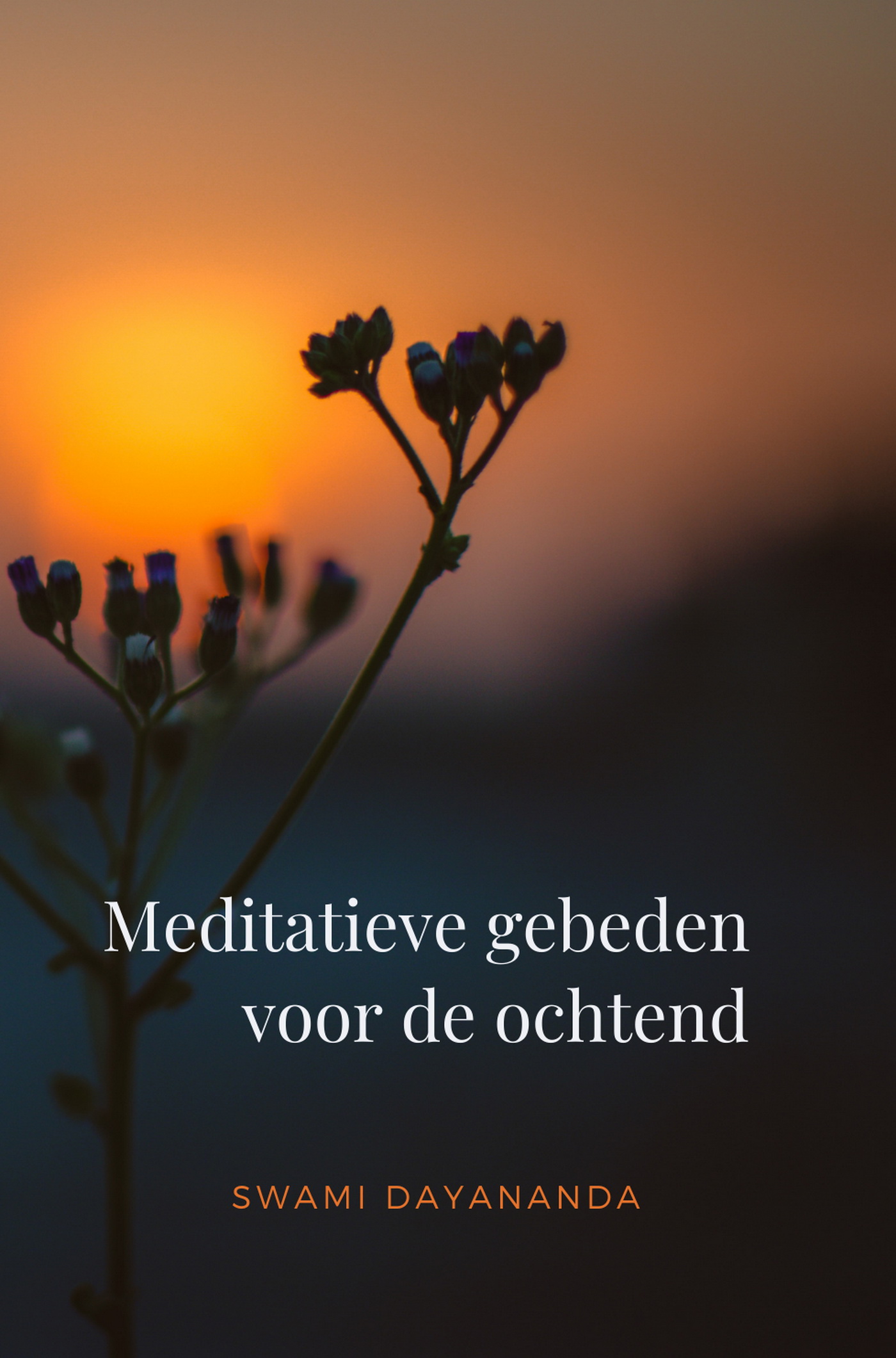 Omslag van Meditatieve gebeden voor de ochtend