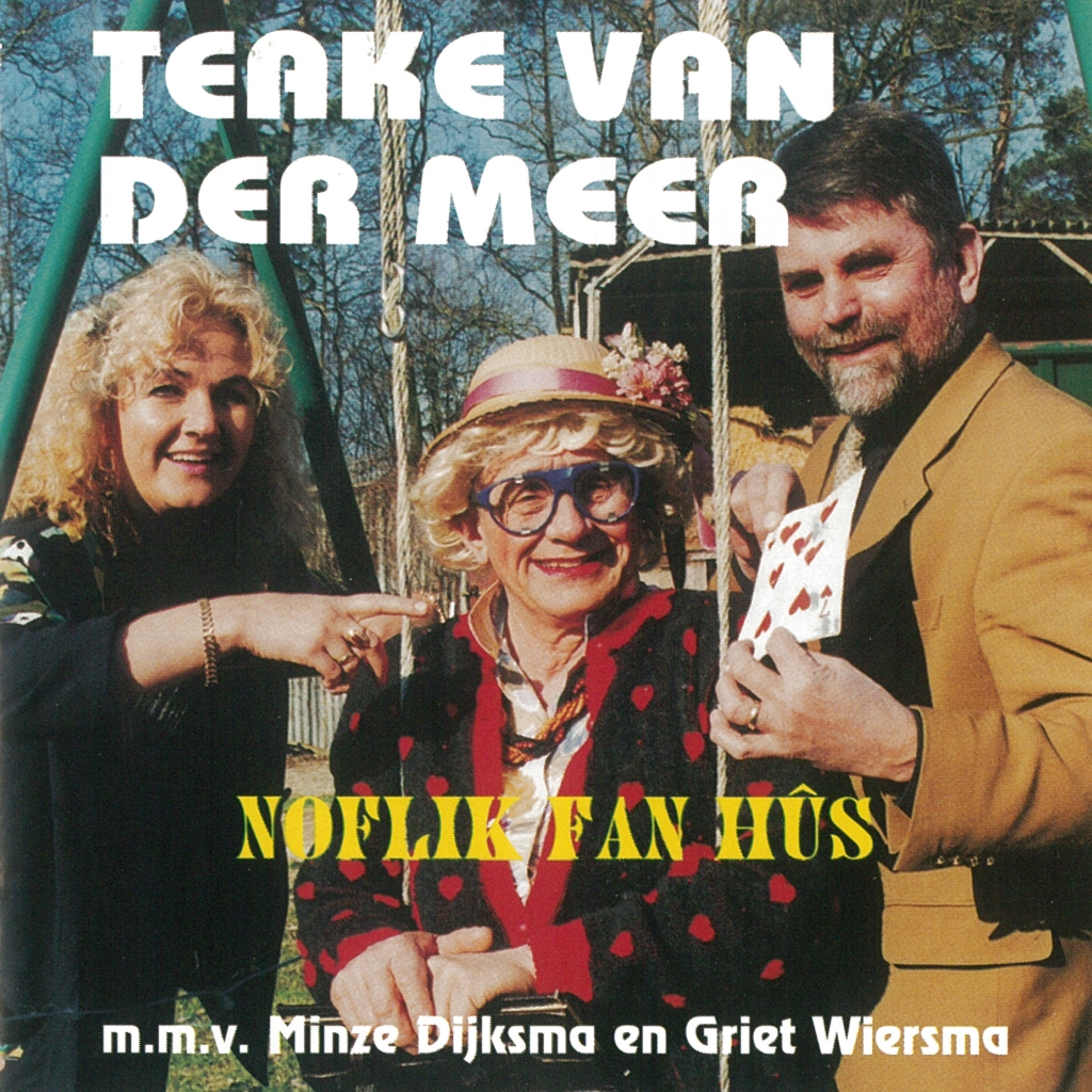 Omslag van Noflik fan hûs