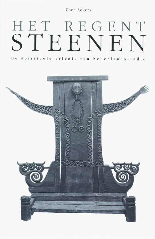 Omslag van Het regent steenen