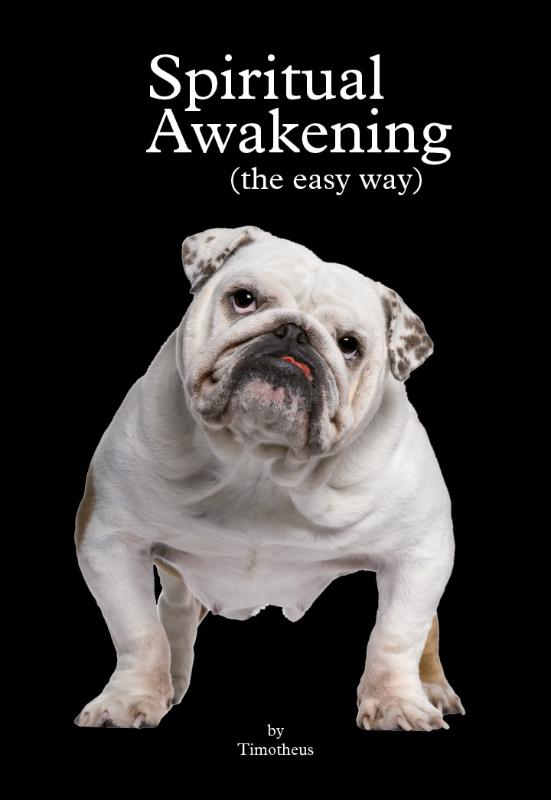Omslag van Spiritual Awakening