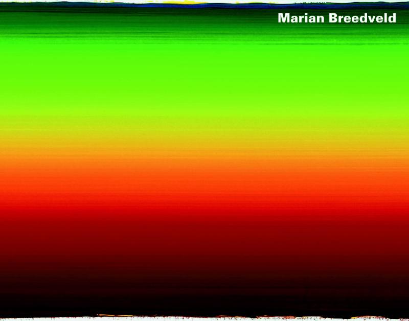Omslag van Marian Breedveld