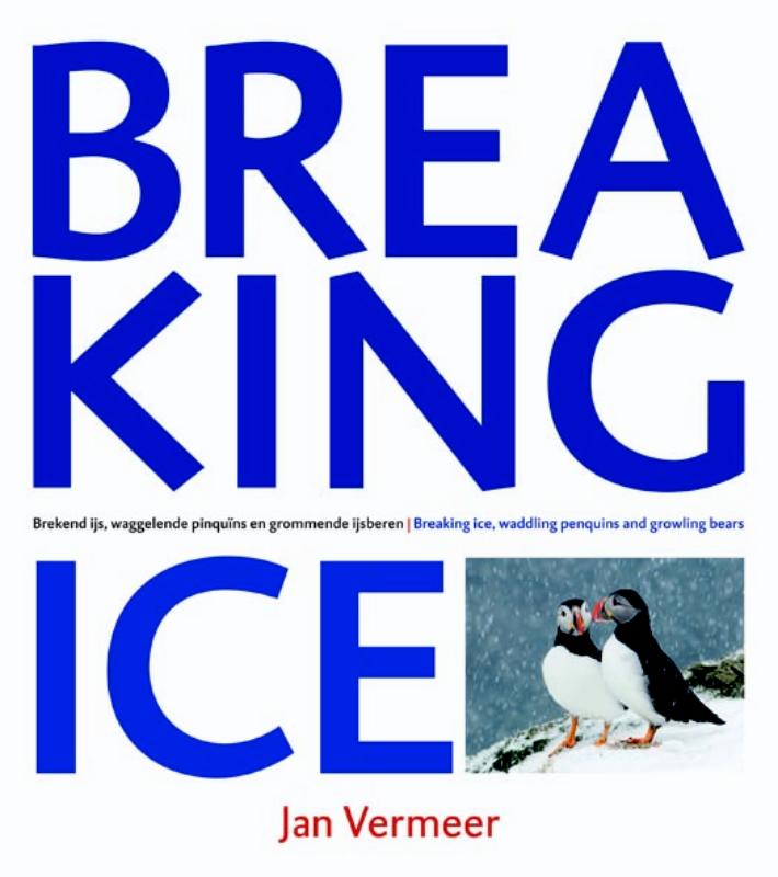 Omslag van Breaking Ice