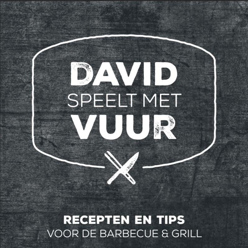 Omslag van David speelt met vuur