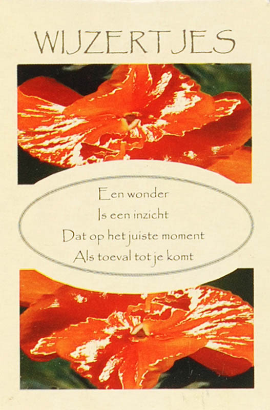 Omslag van Wijzertjes
