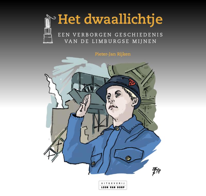 Omslag van Het dwaallichtje