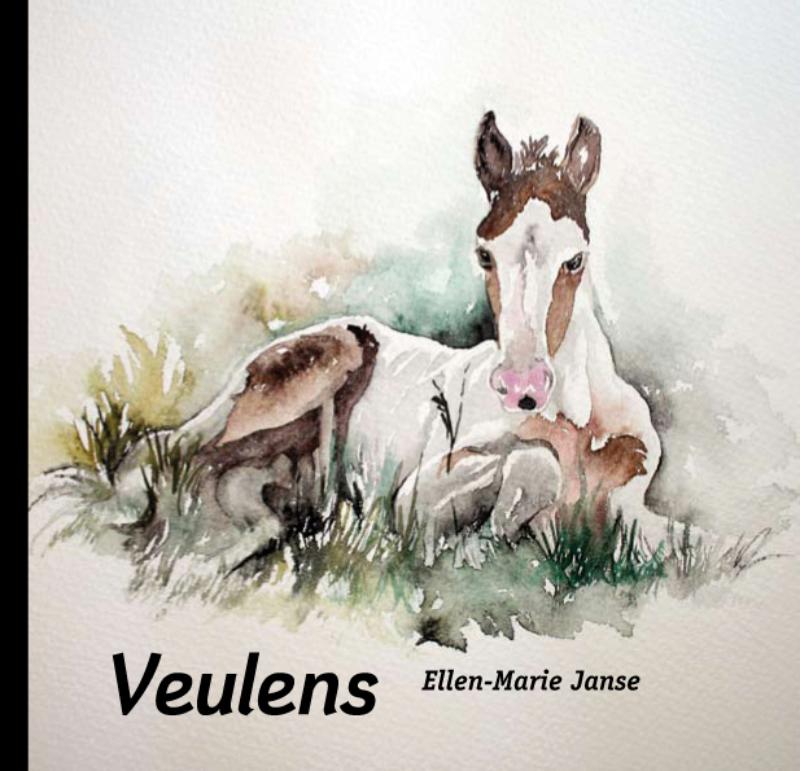 Omslag van Veulens