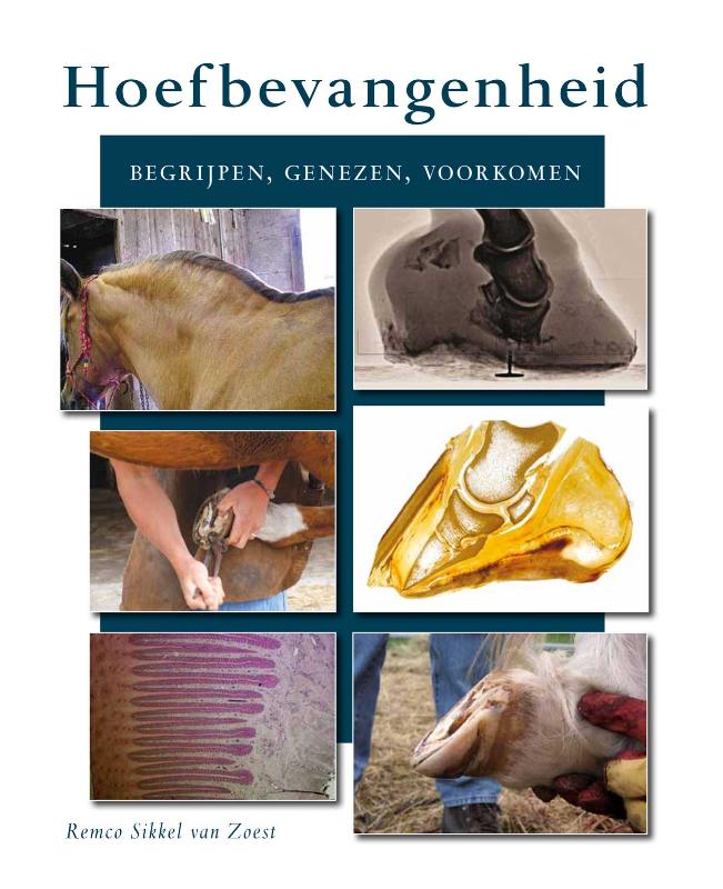 Omslag van Hoefbevangenheid