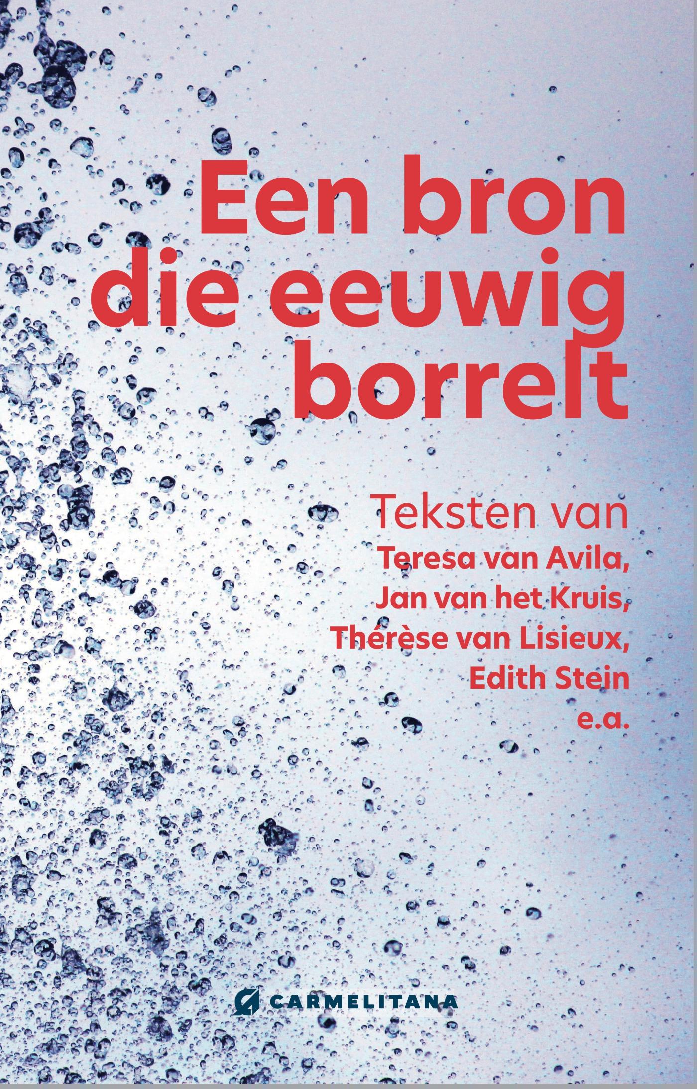 Omslag van Een bron die eeuwig borrelt