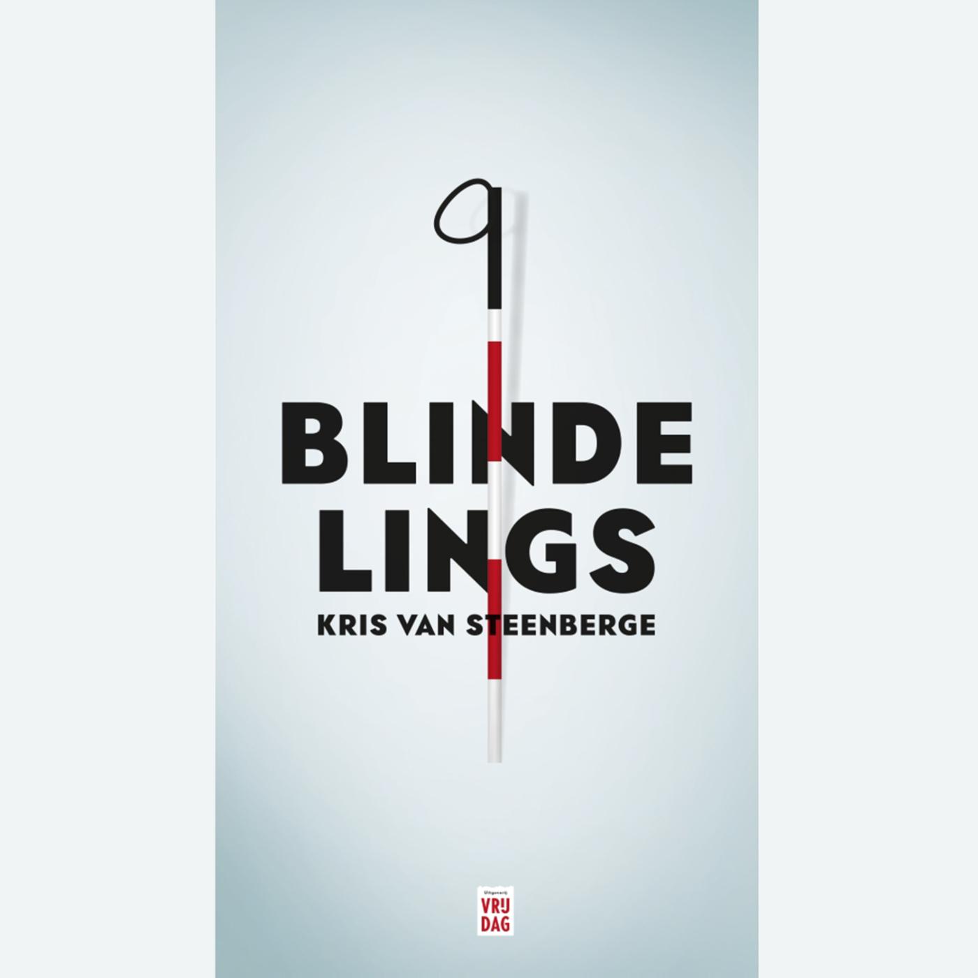 Omslag van Blindelings