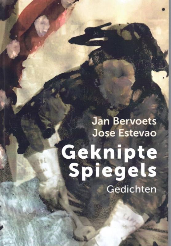Omslag van Geknipte Spiegels