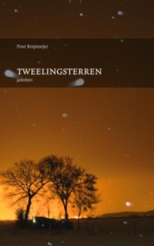 Omslag van Tweelingsterren