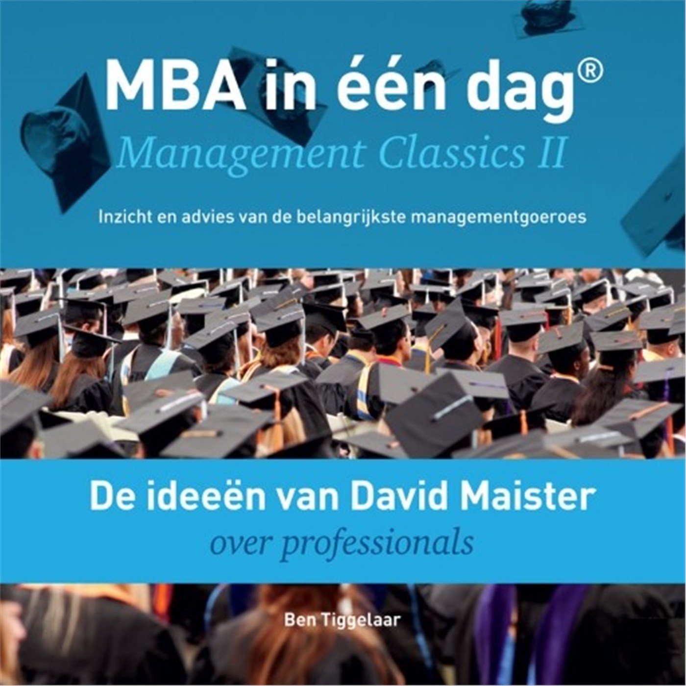 Omslag van De ideeën van David Maister over professionals