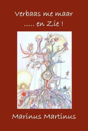 Omslag van Verbaas u maar... en Zie!