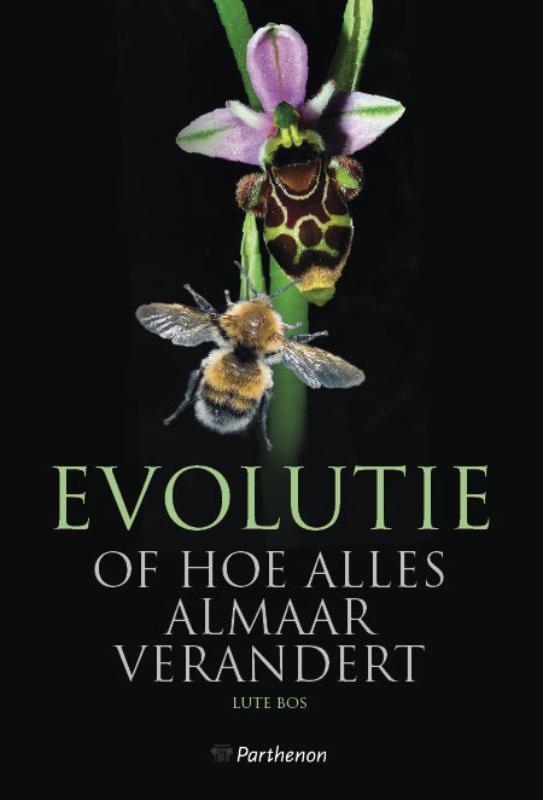 Omslag van Evolutie of hoe alles almaar verandert