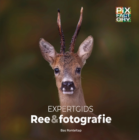 Omslag van Expertgids Reeënfotografie
