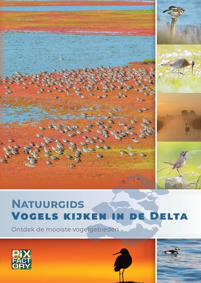 Omslag van Natuurgids Vogels kijken in de Delta
