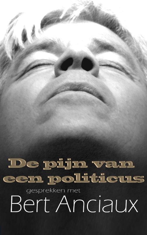 Omslag van De pijn van een politicus