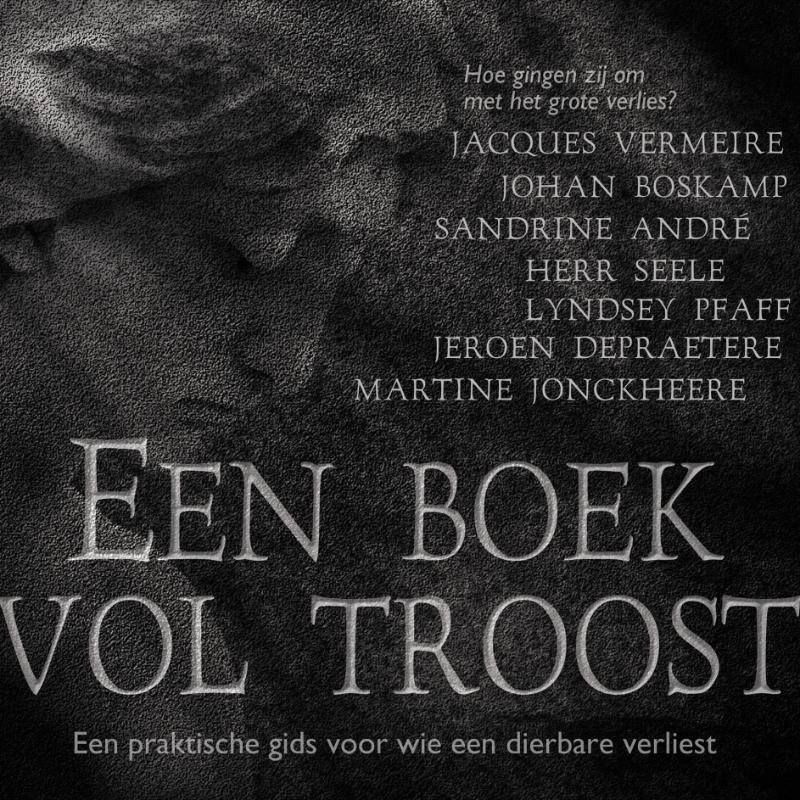 Omslag van Een boek vol troost