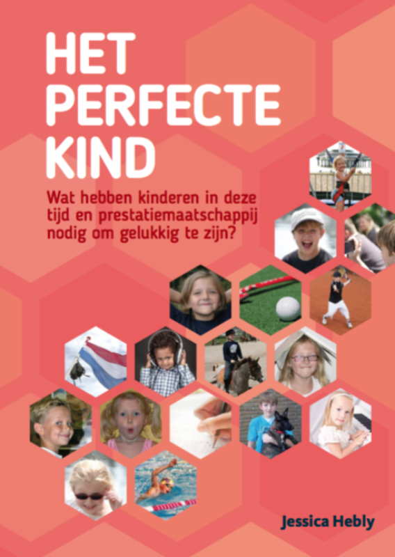 Omslag van Het perfecte kind