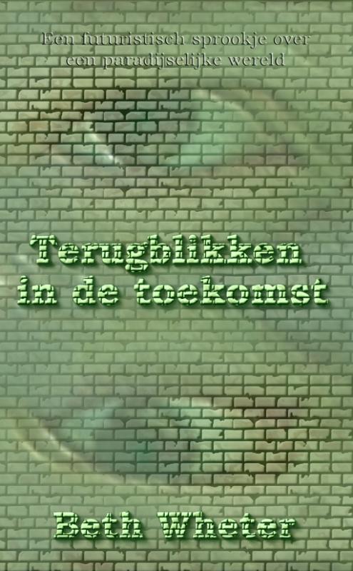 Omslag van Terugblikken in de toekomst