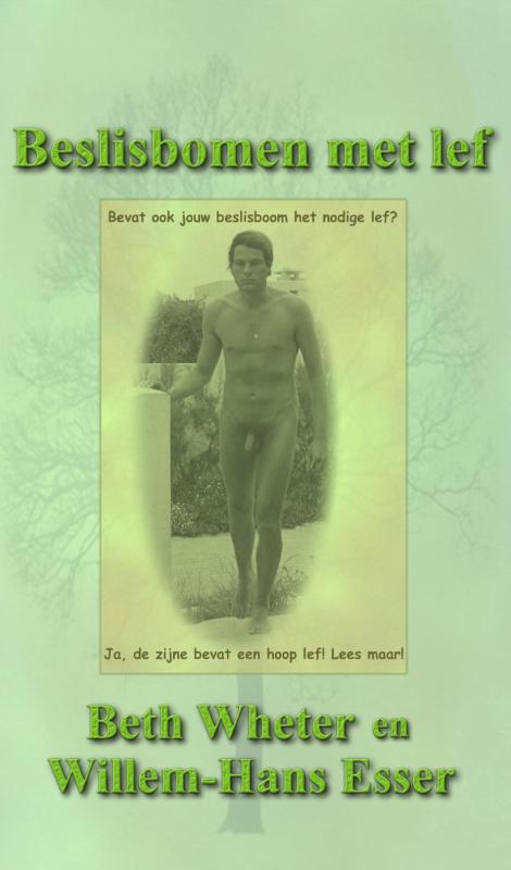 Omslag van Beslisbomen met lef