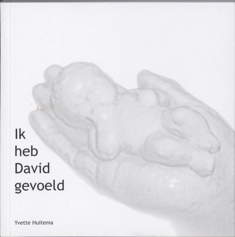 Omslag van Ik heb David gevoeld
