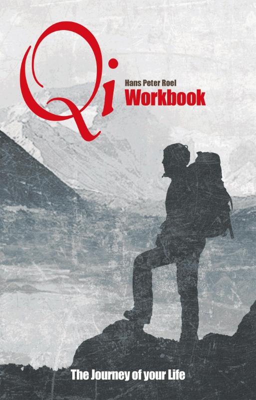 Omslag van Qi workbook
