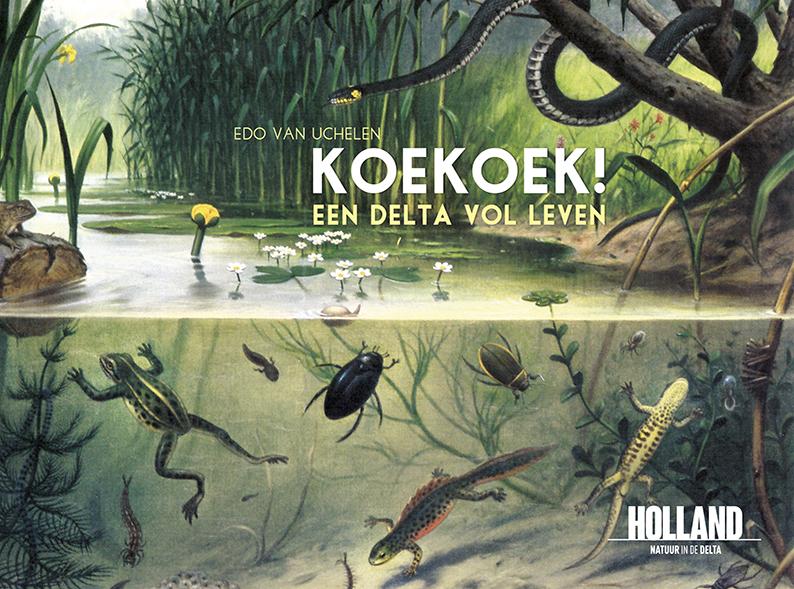 Omslag van Koekoek!
