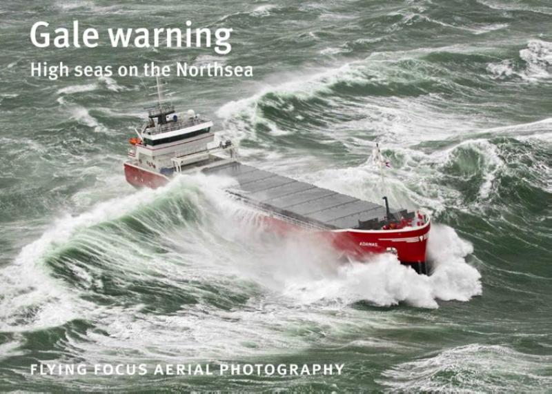 Omslag van Gale warning