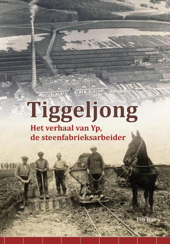 Omslag van Tiggeljong