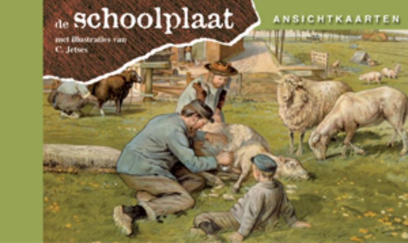 Omslag van Het Volle Leven