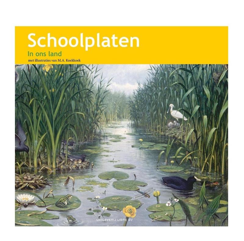 Omslag van Schoolplaten In ons Land