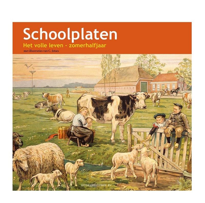 Omslag van Schoolplaat het volle leven