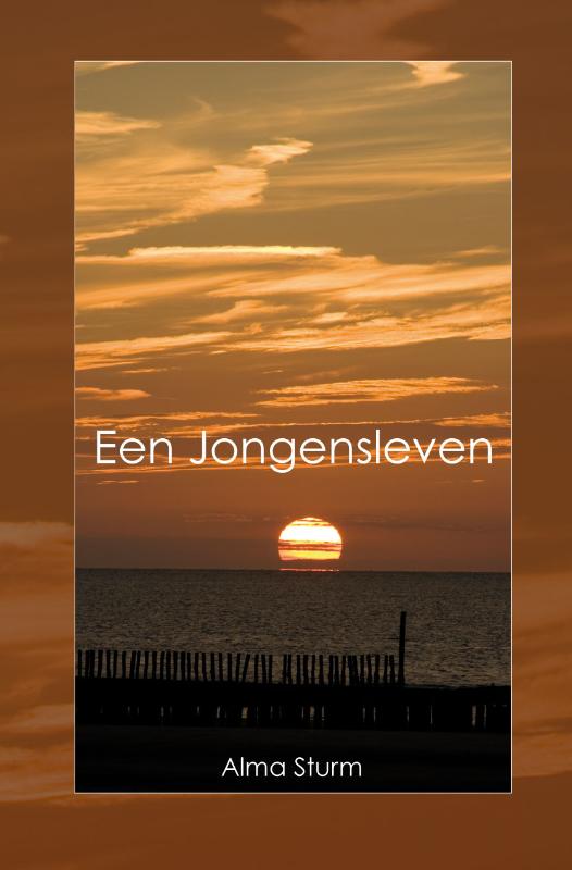 Omslag van Een Jongensleven
