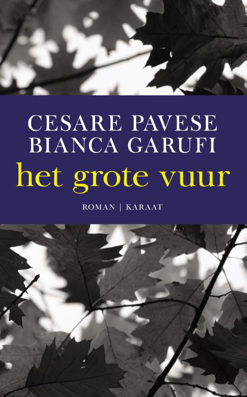 Omslag van Het grote vuur