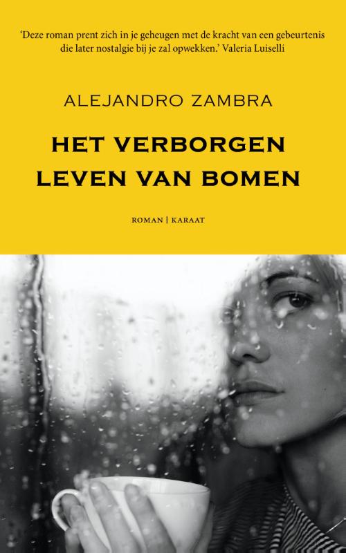 Omslag van Het verborgen leven van bomen