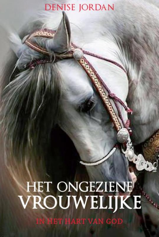 Omslag van Het ongeziene vrouwelijke
