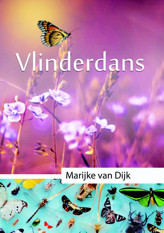 Omslag van Vlinderdans