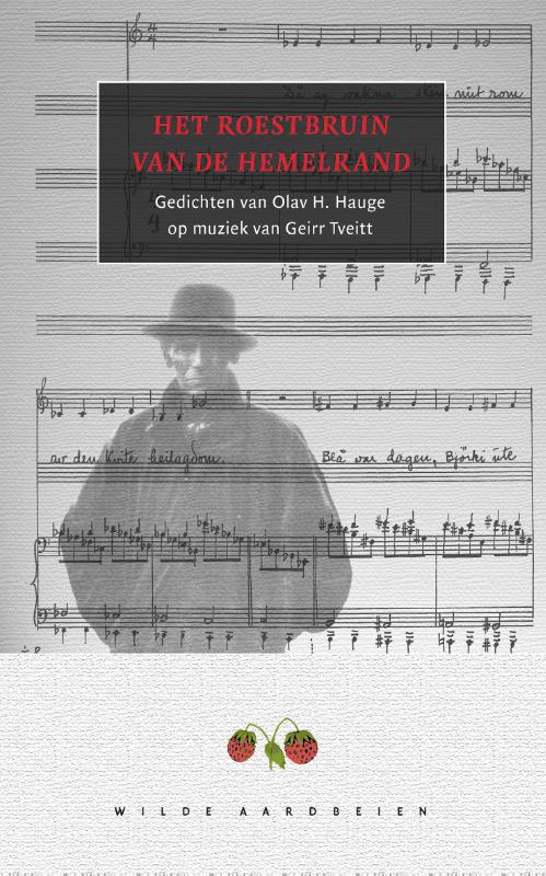 Omslag van Het roestbruin van de hemelrand