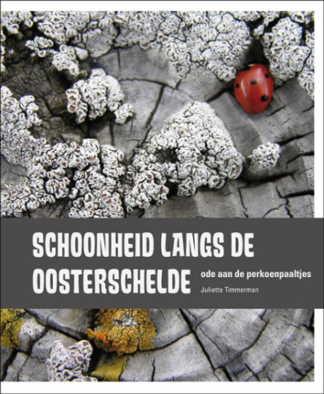 Omslag van Schoonheid langs de Oosterschelde