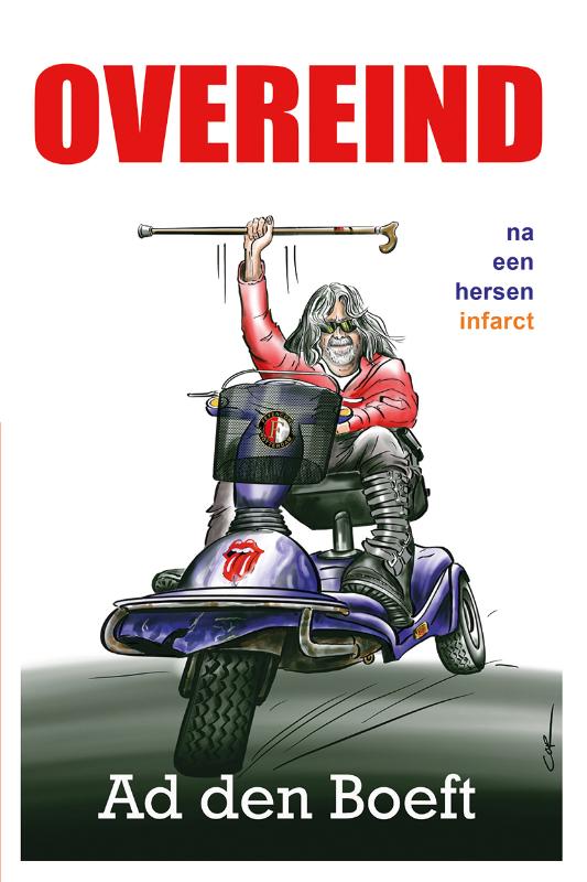 Omslag van Overeind na een herseninfarct