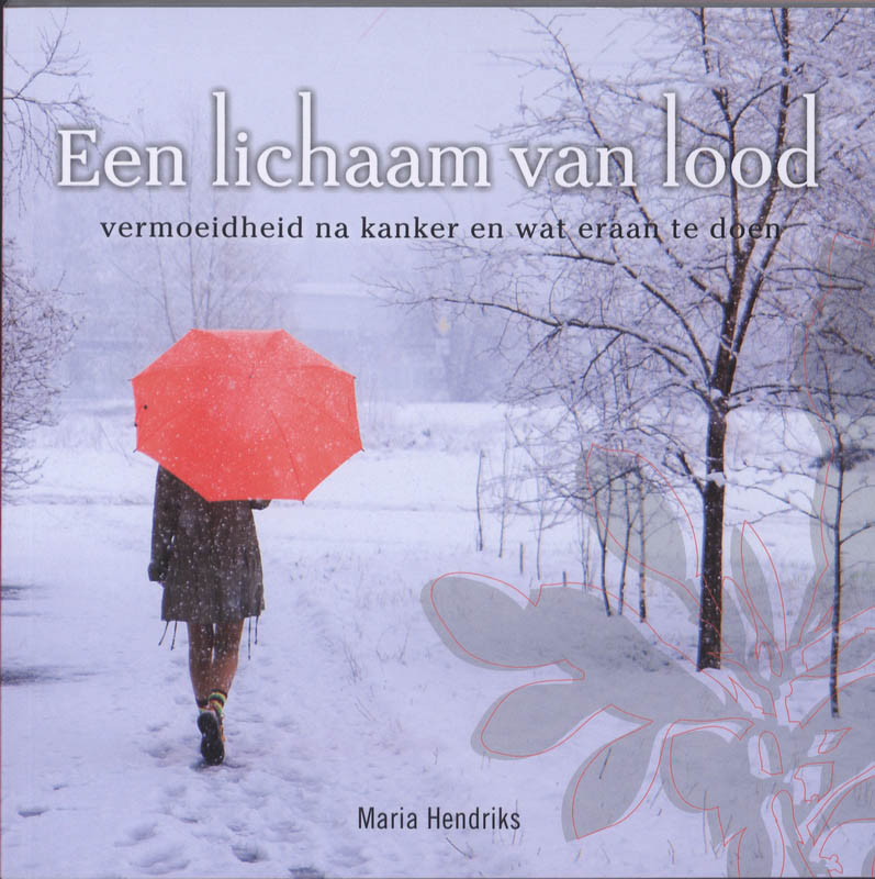 Omslag van Een lichaam van lood